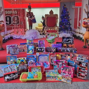 El Pallol col·labora amb Creu Roja Joventut en la campanya de la joguina educativa