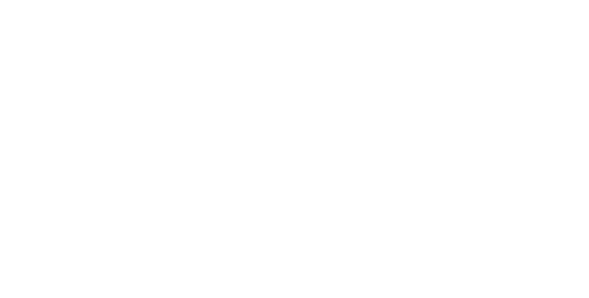 Núñez i Navarro